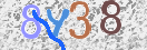 Drošības koda attēls(CAPTCHA)