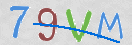 Drošības koda attēls(CAPTCHA)