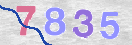 Drošības koda attēls(CAPTCHA)