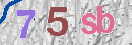 Drošības koda attēls(CAPTCHA)