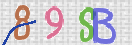 Drošības koda attēls(CAPTCHA)