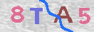 Drošības koda attēls(CAPTCHA)