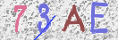 Drošības koda attēls(CAPTCHA)