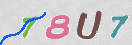 Drošības koda attēls(CAPTCHA)