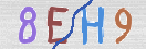 Drošības koda attēls(CAPTCHA)