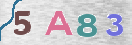 Drošības koda attēls(CAPTCHA)