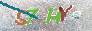 Drošības koda attēls(CAPTCHA)