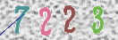 Drošības koda attēls(CAPTCHA)