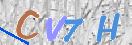 Drošības koda attēls(CAPTCHA)