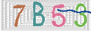 Drošības koda attēls(CAPTCHA)