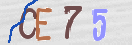 Drošības koda attēls(CAPTCHA)