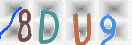 Drošības koda attēls(CAPTCHA)