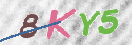 Drošības koda attēls(CAPTCHA)