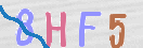 Drošības koda attēls(CAPTCHA)