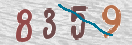 Drošības koda attēls(CAPTCHA)