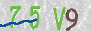 Drošības koda attēls(CAPTCHA)