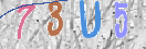 Drošības koda attēls(CAPTCHA)