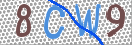 Drošības koda attēls(CAPTCHA)