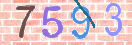 Drošības koda attēls(CAPTCHA)