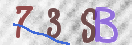Drošības koda attēls(CAPTCHA)