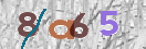 Drošības koda attēls(CAPTCHA)