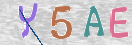Drošības koda attēls(CAPTCHA)