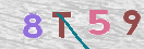 Drošības koda attēls(CAPTCHA)
