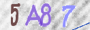 Drošības koda attēls(CAPTCHA)