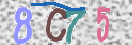 Drošības koda attēls(CAPTCHA)