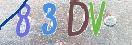 Drošības koda attēls(CAPTCHA)