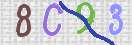 Drošības koda attēls(CAPTCHA)