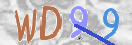 Drošības koda attēls(CAPTCHA)