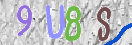 Drošības koda attēls(CAPTCHA)