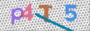 Drošības koda attēls(CAPTCHA)