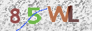 Drošības koda attēls(CAPTCHA)