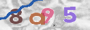 Drošības koda attēls(CAPTCHA)