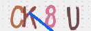 Drošības koda attēls(CAPTCHA)