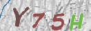 Drošības koda attēls(CAPTCHA)